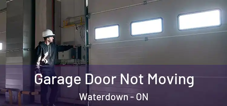  Garage Door Not Moving Waterdown - ON