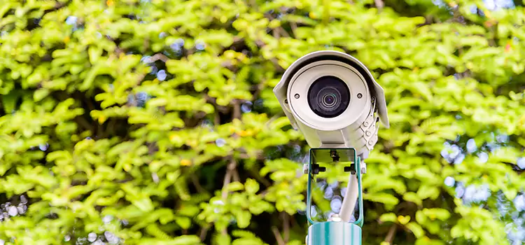 Advanced Surveillance Solutions for Every Need in Waterdown