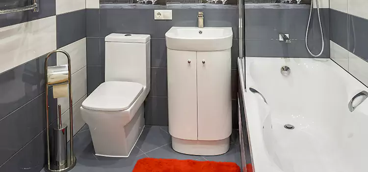 Hansgrohe Shaving Mirror Waterdown